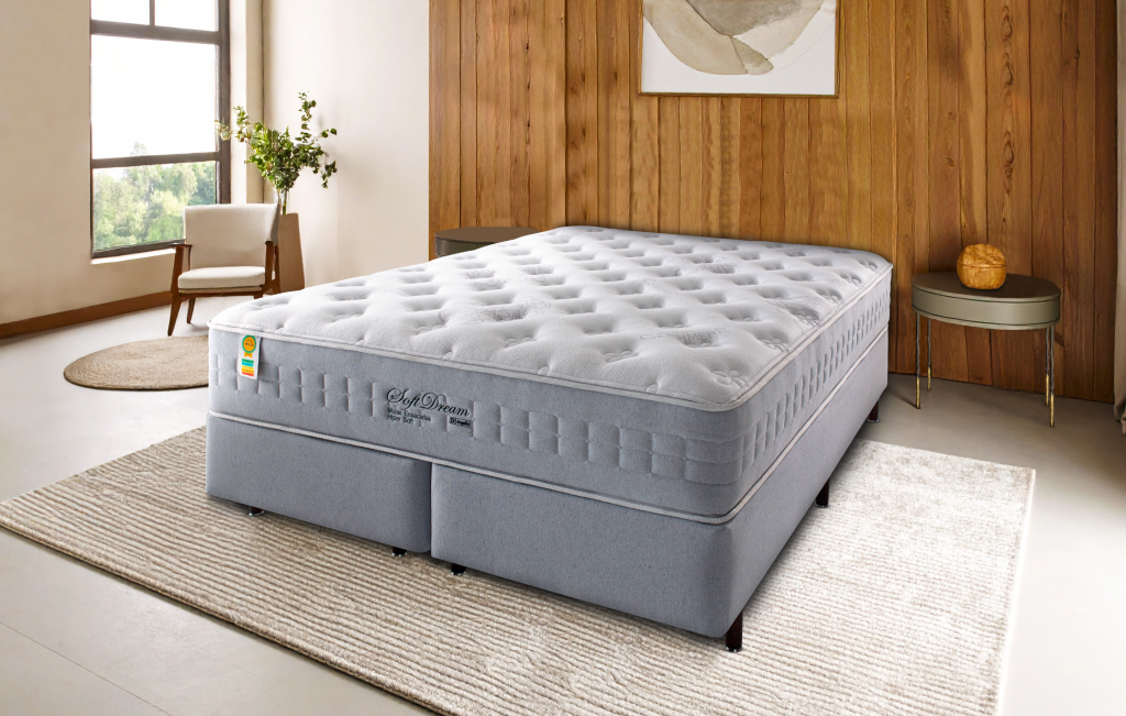 Soft-dream-1024x651.png
